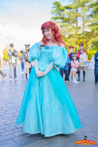 今月、ディズニーハロウィンにて、アリエルのこちらのドレスの着用を予 
