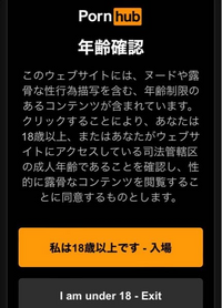 最近このサイトに年齢確認が出てきます押しても大丈夫ですか?後押した 