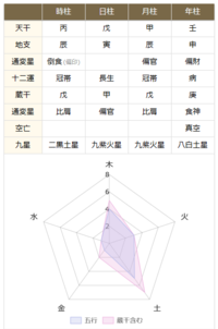 金運 巳酉丑【四柱推命】超絶開運 - その他