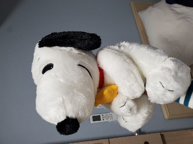 15000円かけてとったぬいぐるみ このぬいぐるみ、クレーンゲームで2000円で取れたのですがまだマシ