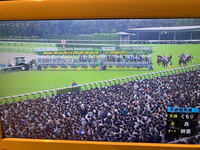 来週末、京都競馬場に競馬を見に行く予定にしているのですが、指定席じゃなくてたくさん人の密集している500円の自由席(エリア？)のところは、レース中はみんな立って観戦しているのですか？ 今日のエリザベス女王杯の映像をテレビで見て、あまりの人の多さに驚愕してしまいました。

わたしが背が低い(154センチ)ので、前に背の高い人がいると全く見えないと困るので、どういう状況なのか教えてください。