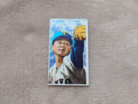このメンコの選手名がわかる方はよろしくお願いいたします。 