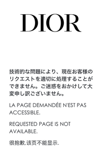 確認専用画面です。購入できません！ Diorで購入しようとするとこの画面になり購入できません。支払い