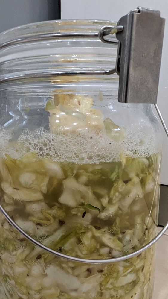 料理について質問です。 ザワークラフト作った経験のある方教えてください。 三日前の夜に作りました。今日の夜で4日目。 臭い嗅ぐ限りでは変な腐敗臭はしてないです。 ①写真のように泡立ちますか? ②発酵食品だけあって味はかなり酸っぱくなりますかね、、、 初めて作るので何が失敗で成功か分かりません。 経験のある方教えてください!