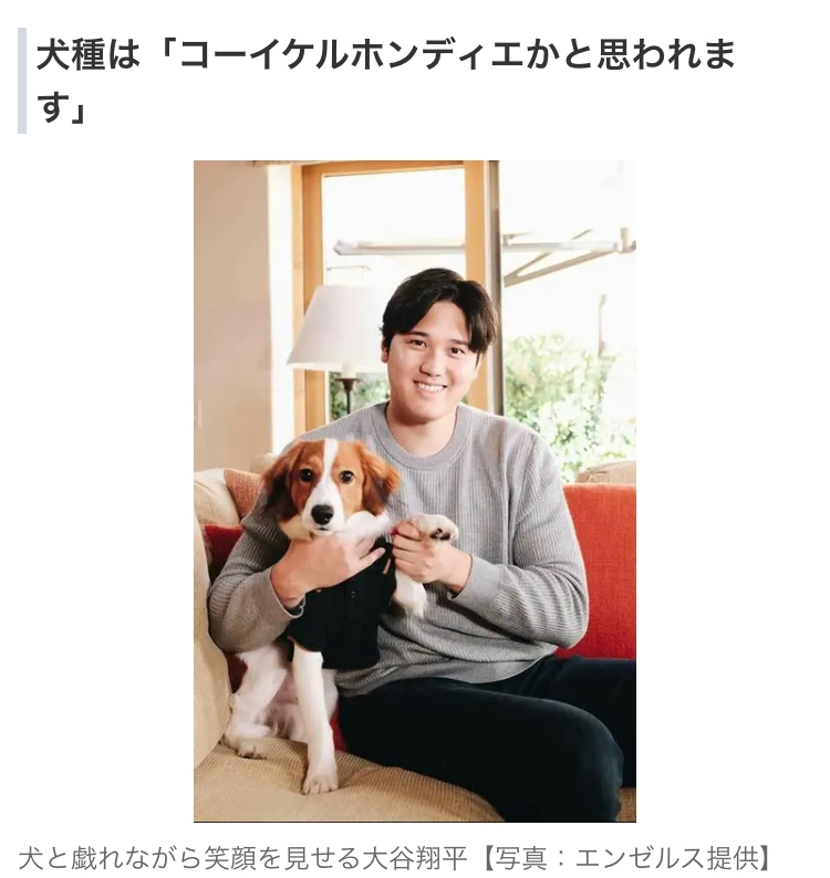 大谷翔平が飼い始めた犬って日本には100頭くらいしか登録がない珍しい犬種らしいですが「同じ犬種...