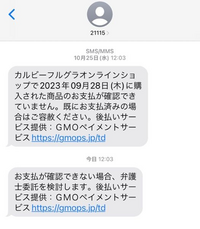 SNS(ショートメッセージ)にてこのような連絡があり、購入など一切し