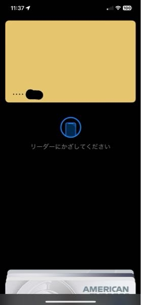 先日セゾンゴールドAMEXの招待が届き手続きし本日届いたのですが、表面に番号がなく裏面に書かれていました。知人のカードは表面にカード番号が刻まれていたので、気になってます。 またApplepayに登録したら特に絵柄も出ず写真のようになってしまったのですがこれは正常なのでしょうか？有識者の方是非教えて頂けると幸いです。