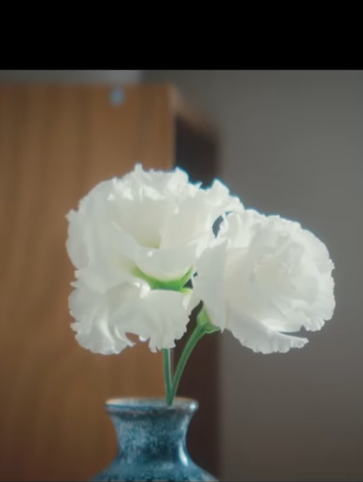 この花のは名前がわかる方いますか？