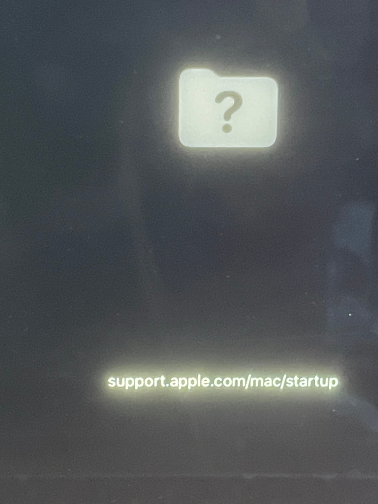 MacBookでパスワードがいくら正しくても入力できないという不具合があり初期化したのですが、 ネットに疎いものでディスクに保存的なものをする際全てわからなくてそのまま画面をけし再起動とおしたら電源を入れた瞬間からずっとこの画面になっていて、なにか対処法ありますか？