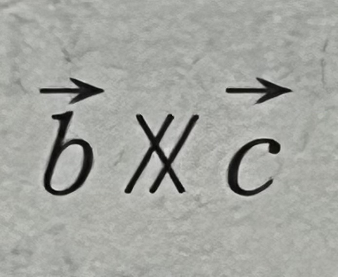 数学のベクトルの問題でXにスラッシュが付いた記号の意味ってなんですか？