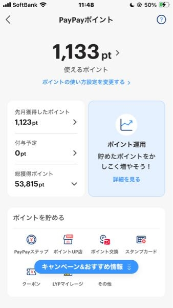 写真のPayPayポイントはいつから、どうやって使えばいいでしょうか。ほっておいたらPayPay残高に反映されるのでしょうか。それともなにかしないと使えないでしょうか。ご回答よろしくお願いします。