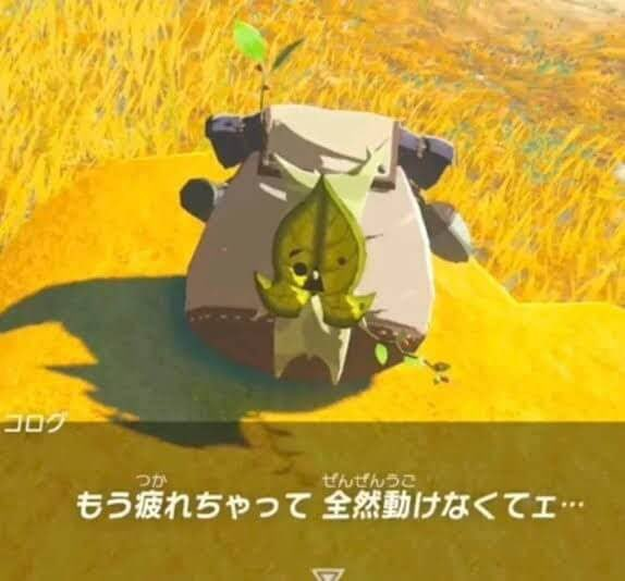 ゼルダの伝説ティアキンについて。年明け2月に旅コログのぬいぐるみが発売されますが、どうして画像のコログは採用されなかったのですか？