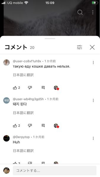 上何語ですか？