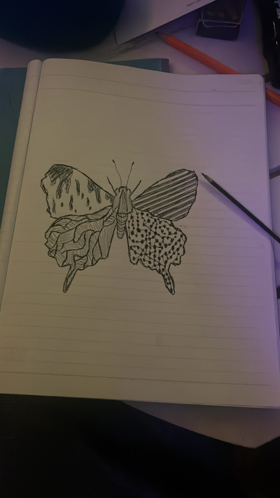 1枚目の蝶々の絵に芸術っぽく題名を付けてください。