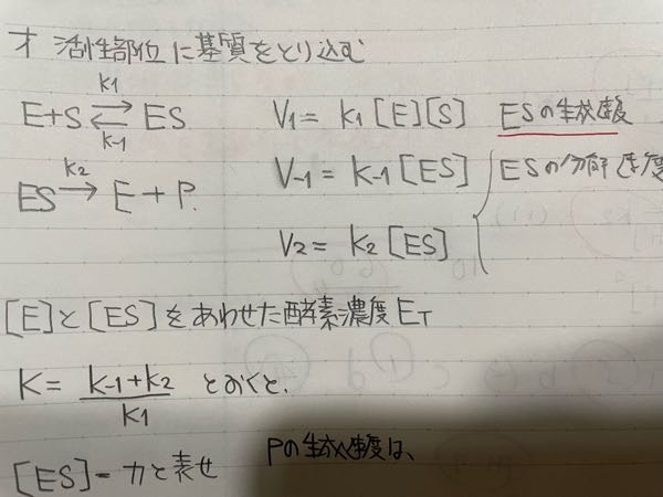生成速度、分解速度が次のように表されるのはルールですか？自分は生成だったら反応物の濃度、分解だったらその物質の濃度で当てはめていたのですが違いがごちゃごちゃしていてわかりません。