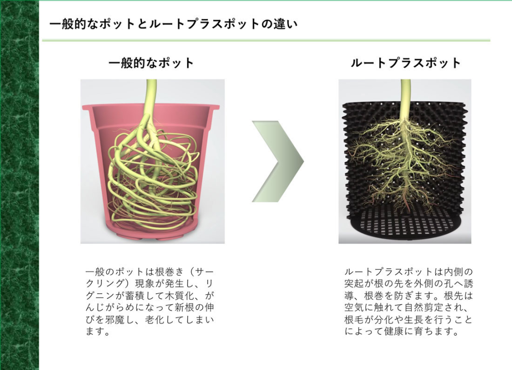 空気剪定とは具体的にはどういう現象のことですか？