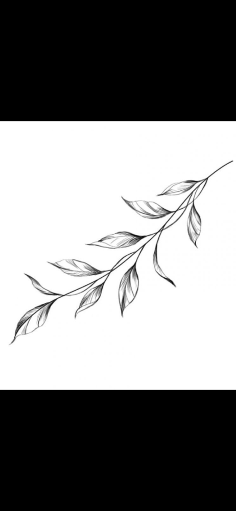 これはなんて言う植物か分かりますか？