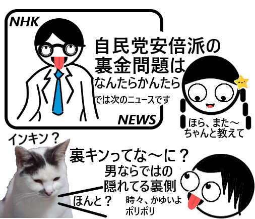 猫ホッケ 裏金とは何でしょうか？ たとえば ・裏通りで拾ったお金 ・国民の信頼を揺るがしてる大元凶 などなど ※ 専門的、難解、これわからない回答はヒント・解説をお願いする時ありまーす