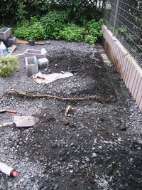 隣地から竹の侵入で困っています 隣地の竹の根が私の家に入り込み Yahoo 知恵袋