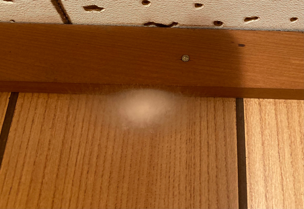 天井と壁の境目に、画像のような白い綿のような蜘蛛の巣のようなものがあります。 もし蜘蛛の卵とかなら下手につついたらいっぱい出てきそうでこわいです。 蜘蛛用とゴキブリ用の殺虫剤は持ってます。 どうやってこれを除去するのが一番気持ち悪いをしなくて済みますか？