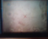 ドラクエ9大賢者の杖とムドーの地図 大賢者の杖を賢者に持た Yahoo 知恵袋