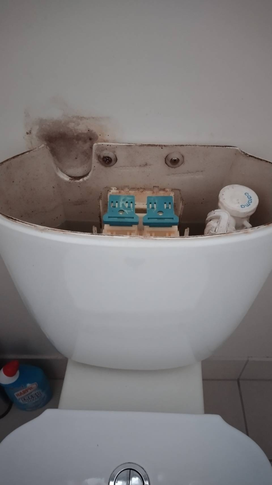 トイレの貯水タンクについて 築15年の一戸建てに住んでいます。 最近ふとトイレの貯水タンクの後ろの壁が一部黒ずんできていることに気がつきました。 タンクを開けると写真のように左上に窪みがあり、そこの水分？のせいで壁にカビが生えてしまっている気がします。 この窪みに意味はありますか？ これ以上カビが悪化しないようにプラスチックの板などで内側を塞ごうと思っているのですが問題ないでしょうか？