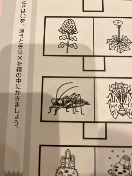 年長のプリントなのですが、写真の左側の 上の花と、下の虫はなにですか？教えてください！