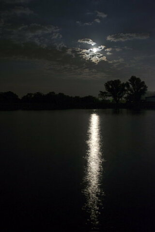 水面に映る月光って 真っ直ぐに伸びる１本の道みたいに見えるんで Yahoo 知恵袋