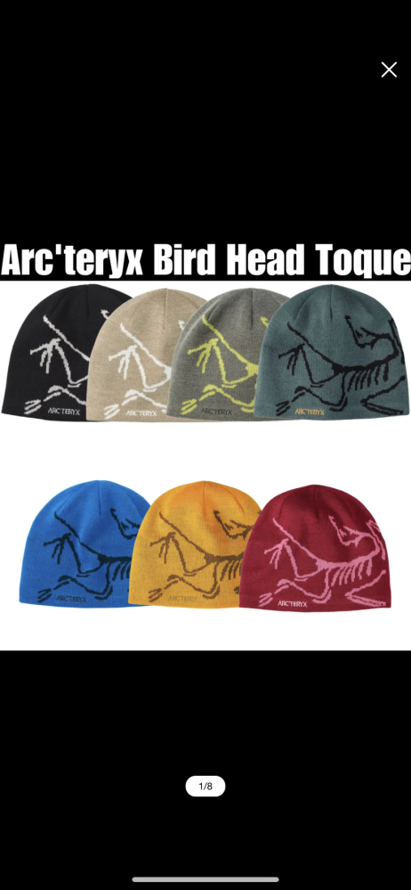 ARC'TERYX 新品 アークテリクス 店舗限定 Skaha Toque スカサ