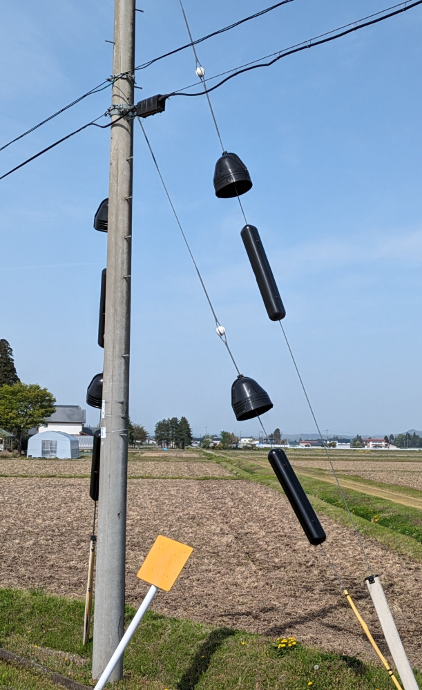 電信柱の黒い傘みたいなのは何？