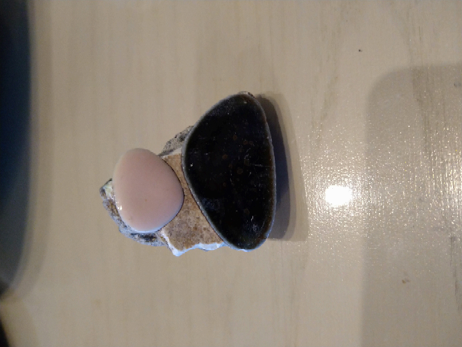 子供が幼稚園で不思議な石を見つけてきました。 「なんの石？？」と説明を求められましたが、正直全く分からず、、 詳しい方、これが何かおわかりでしょうか？？ よろしくお願い致します。