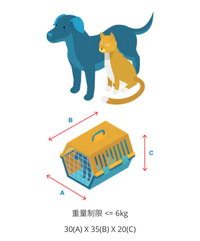 ベトナム 航空 オファー ペット 持ち込み