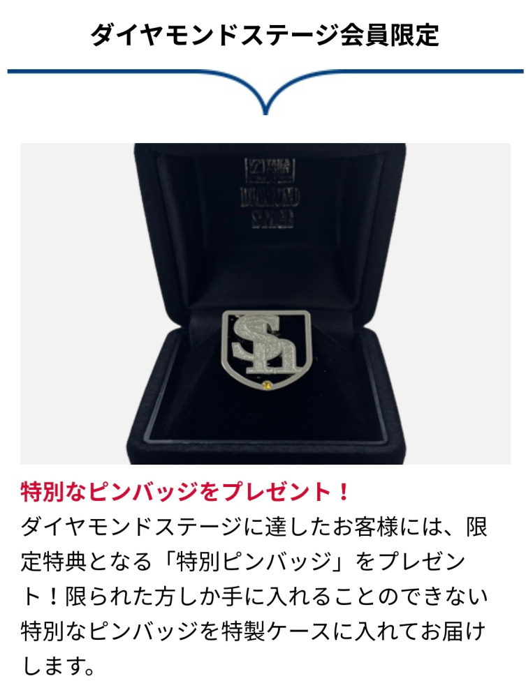Amazon.co.jp: 福岡ソフトバンクホークス2012プレミアム会員特典