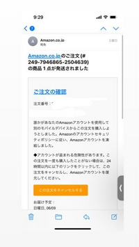 かなです。他の人の購入はキャンセルさせていただきます。 大至急！Amazonのこのキャンセルメールは詐欺ですか？注文履歴を見た