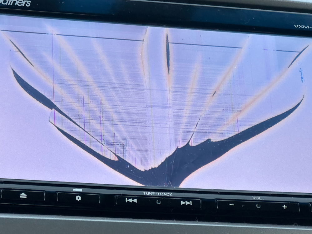 虫が止まってたからカーナビの液晶叩いたら割れました。これって修理代