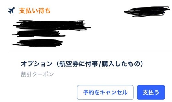 Trip.comについて質問です。先程航空券を取ろうとチケットをみていた 