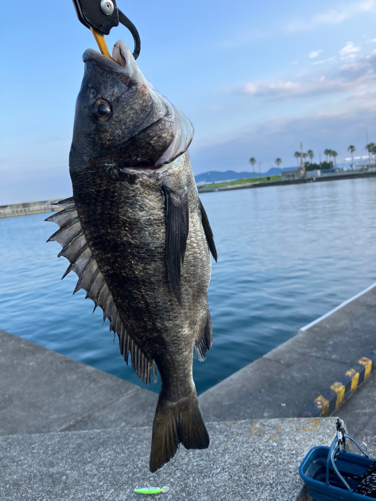 釣りについて質問です僕は釣りが趣味でいつもフカセ釣りをしています 