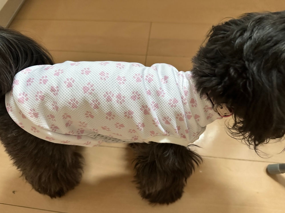 犬服ハンドメイド 胸あて 前見頃