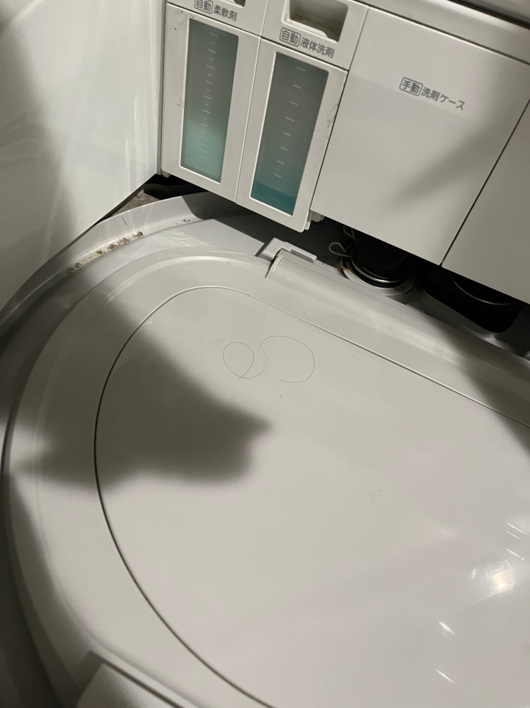 洗濯機の中蓋にカミソリを置いたじょうたいで蓋を開けてしまい、ガシャンという音がして蓋を戻したらカミソリがなくなっていました。 おそらくどこかの隙間に入ってしまったんだと思います。 洗濯機壊れちゃいますかね？ また、どうしたらいいですか 目に見えるところにはなく、カミソリのキャップはついていません。