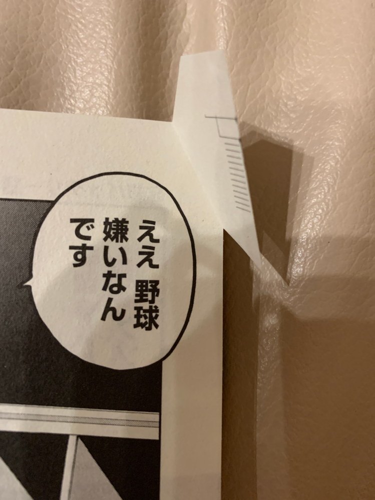 これはエラー本でしょうか？つい先日買ったばかりの本なのですが1枚エ 