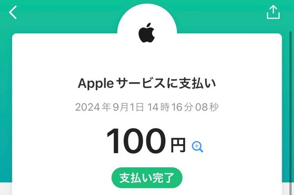 PayPayを開いたら身に覚えのない支払いがされていて、確認の仕方もわからないし返金方法もわからないので助けてください。結構ピンチです