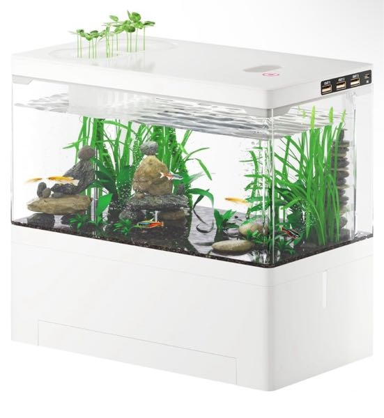 6Lの水槽で買える魚を教えてくださいネットで見つけた卓上の水槽が気に 