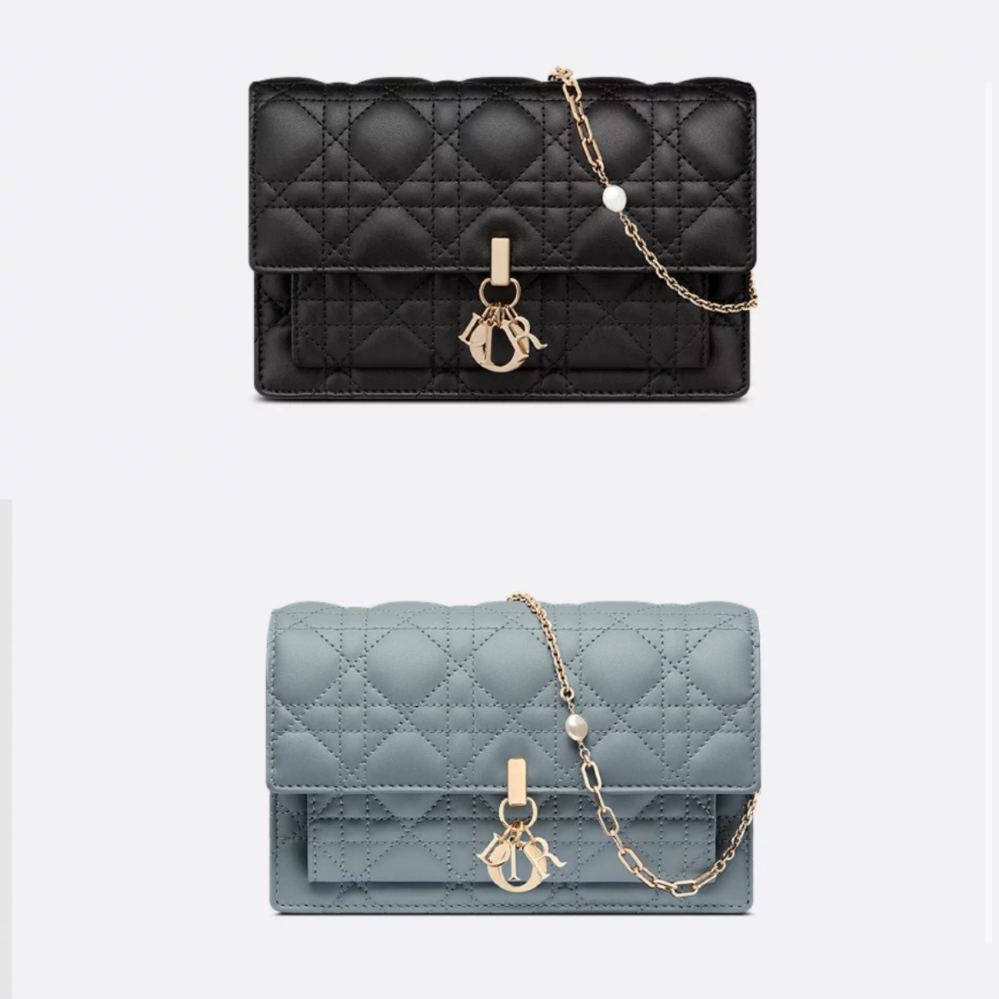 【コンパクトでも機能的】My Dior デイリーチェーンポーチ ☆嬉しい収納力☆Dior My Dior デイリーチェーンポーチ ポーチ