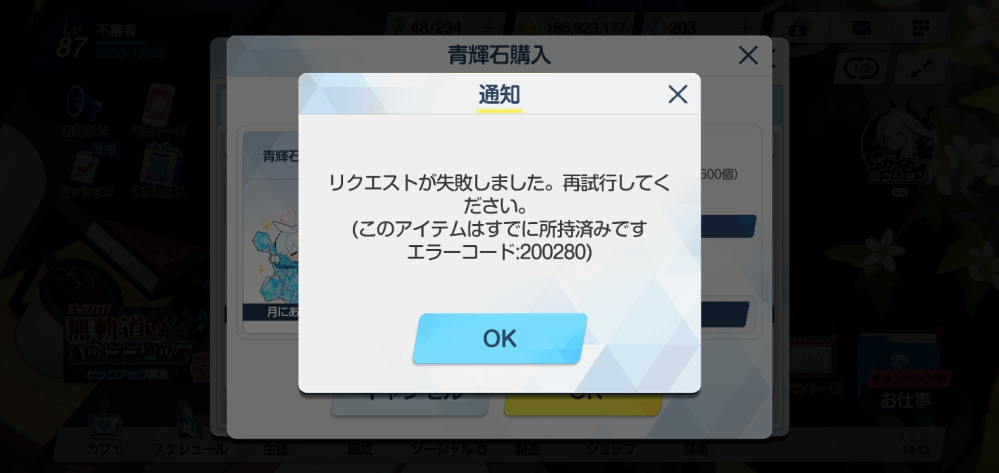 ポッケワイ様ご確認用です ブルアカの青輝石を購入しようとしたらエラーになりました。20028