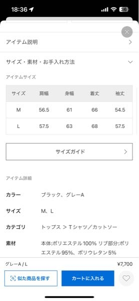 身長173cm/体重62キロの場合は、MとLどっちの方が良いでしょ