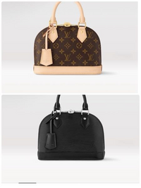 LOUISVUITTONのバックを購入予定です。この二つで迷ってるのですがど 
