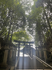 今日神社に挨拶をしてきました！
写真の中に白い線状のものがいくつかあるのですが、
これは何か神様からのお知らせでしょうか？
それともオバケさんですか？ この時、撮影した天気は霧が多く、雲で空が覆われていたので、太陽の日差しではないと思うのです。
また、同じ場所で撮った他の写真も見ると白い線状のものが写ってない写真もあったので
不思議だと思い気になって投稿しました！
わかる方教えて...