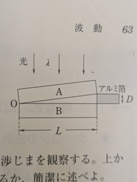 2枚の平行ガラスA,Bの1端OからL=0.10m離れたところにアルミ箔を挟む。真上からλ=5.9×10^-7の光を当てて、上から見ると干渉縞が見えた。空気の屈折率を1とする。 (1)-(2)省略
(3)光の方向と反対側(ガラス板B側)から干渉縞を観測する。上から見る場合と比べて、干渉縞はどう変わるか述べよ。

板Bと板Aの反射で2度位相がπズレるので元と変わらないと考えたのですが、答え...