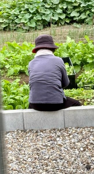 教えてください こうやって人の敷地のブロックに平気で座る人に対して、対策は何かありますか？ ブロックを高くする？ 砂利を並べて座れなくする？ など見ながら考えてはいましたが、出来るだけお金はかけたくないです。 このおばあさんは家の前に住んでる人で、お手伝いでお隣さんの畑にいるようです。 引越ししてから最初の方の回覧板では、旦那が庭に出てて鍵が開いてたのですが勝手に入ってきました。 普通に怖いです。玄関前に宅配ボックスがあるのでそこに載せて下さいとも言ってあります。 それからは庭に少し出るだけでも鍵は閉めるようにしてますが、閉めてても置いといてくれず、チャイムも鳴らさず玄関の取っ手をガチャガチャしていないのー？とかポスト開けて玄関の中を覗こうとしたり、リビングの窓の外でじーっと立ってたりします。 庭に出て家に入ろうとすると、まだ入ったらあかんってーって笑いながら言ってきたりもありました。 田舎ならではなのかもしれませんが、今の時代には合わないねと周りの知り合いは言ってます。 話は逸れましたが、何か方法ありますか？