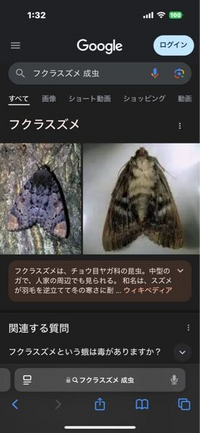 玄関前にこんな感じの大きい虫が止まってます（т-т）
ほっといて朝になったらどっか飛んでいくとおもいますか？ 